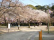 小牧山史跡公園 950m
