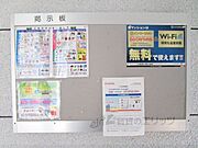 掲示板
