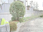 植栽