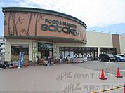 Foods Market satake　岸辺駅前店 1300m