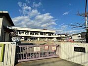 押場保育園◇特色◇園庭が広くのびのびと戸外遊びを楽しめます。園の近くには野黒公園があり、散歩に出かけ自然に触れて遊びます。・楽しい食事・障害児保育◇園庭開放◇毎週木曜日10:3 370m
