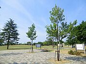 中川公園 100m