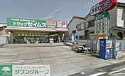 ドラッグセイムス 徒歩10分。ドラックストア 750m