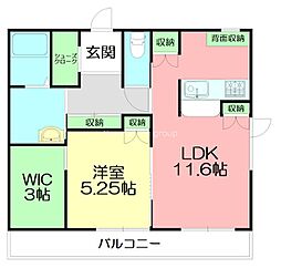 こゆるぎR/T 1LDKの間取図画像