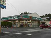 ドラッグセイムス 萩園店（665m）