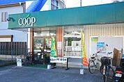 ユーコープ 藤が岡店（635m）