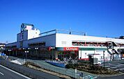 Olympic（オリンピック） 藤沢店（637m）
