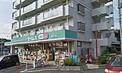 ドラッグセイムス 柄沢店（1008m）