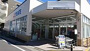 クリエイトSD（エス・ディー） 茅ヶ崎新栄町店（830m）