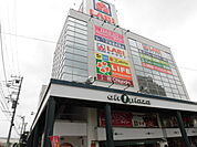 ライフ　大船店（234m）