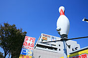 湘南 とうきゅう（243m）
