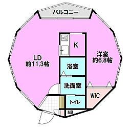 シェルコート 1LDKの間取図画像