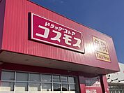 ドラッグストアコスモス 足立店 徒歩7分。 550m