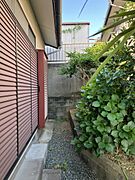 庭。多様な植栽が植えられています。