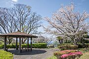 大崎公園まで徒歩24分　約1500ｍ