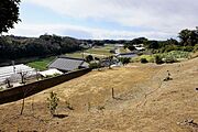 高台の景色です
