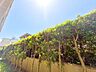 外観：太陽の光りが差し込む陽だまりの家。