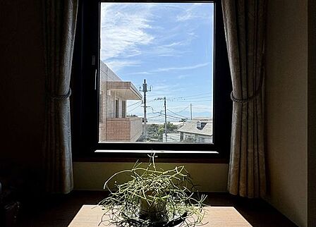 ほっとする眺望