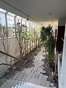 天候に左右されず、四季折々の瑞々しい植栽と柔らかな自然光に癒やされる、美しいガラスサンルーム風のアプローチ