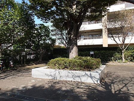 練馬区立三ッ塚けやき緑地 190m