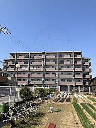 シャトーアルベール