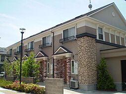 ドミール・ジャルヴェルデ