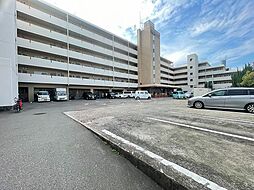 7 / 37