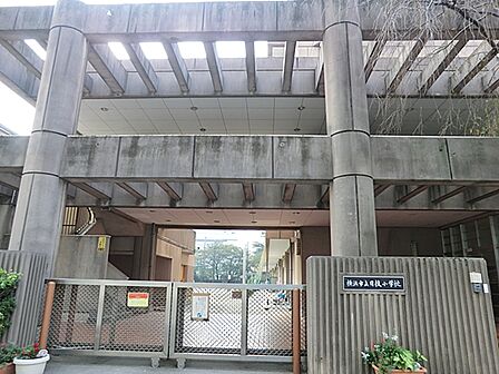 横浜市立日枝小学校まで約460m