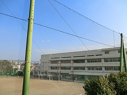 横浜市立平戸中学校まで約1100ｍ