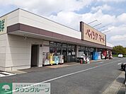 ベイシア前橋小島田店 徒歩53分。 4180m