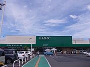 COOP　MIYAGI愛子店 徒歩14分。 1090m