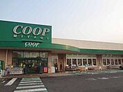 COOP　MIYAGI台原店 徒歩7分。 540m