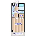 コーポアゼリア3階5.2万円