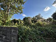 【現地土地】