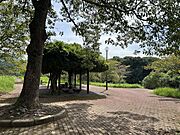 【周辺環境/公園】宇佐市桜づつみ公園まで902m（徒歩12分）