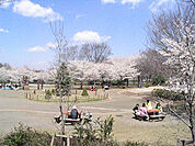 東村山中央公園 694m