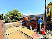 2026年5月11日撮影