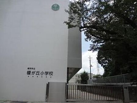 横浜市立榎が丘小学校 徒歩6分。小学校が徒歩圏内にあることで、通学が安全・安心。送り迎えの負担も軽減され、子どもの自立を促せる環境です。 430m