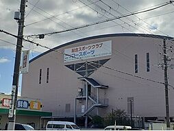 7 / 20