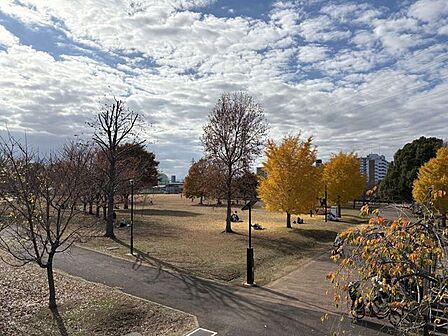 東伏見公園 1660m