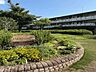 周辺：練馬区立東大泉木もれ陽公園 950m
