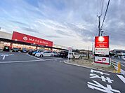ココカラファイン 泉北高倉台店（539m）
