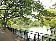 歌川広重の名所江戸百景『千束の池袈裟懸松』にも描かれた水辺の景観の面影を今も残す「洗足池公園」。周辺住民の憩いの場になっており、池月橋、水生植物園のほか、勝海舟記念館も隣接しています。
