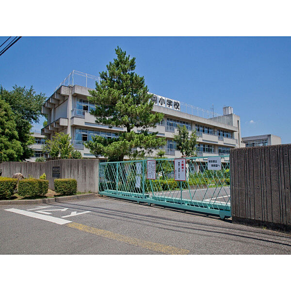 周辺を拡大表示