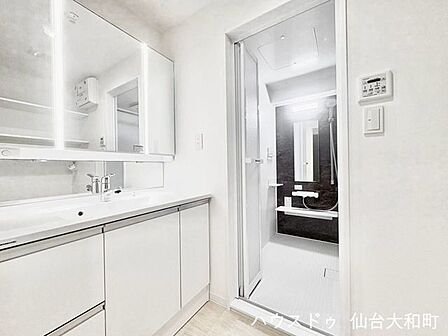 鏡の裏と下段の大容量収納付きシャワードレッサー+*