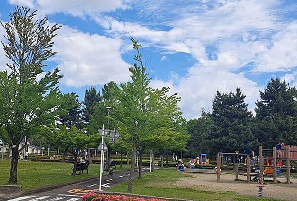 周辺を拡大表示
