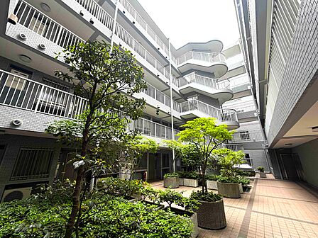 光と緑が印象的な中庭