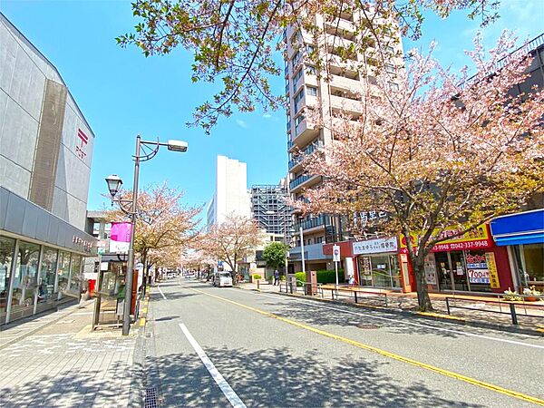 周辺を拡大表示