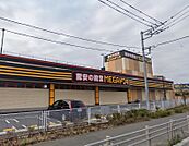 MEGAドン・キホーテ秦野店（1261m）