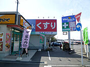 Welpark（ウェルパーク） 海老名かしわ台店（986m）